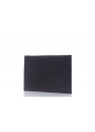 SAINT LAURENT SAINT LAURENT PARIS POUCH XL  CUIR GLACE (OR)